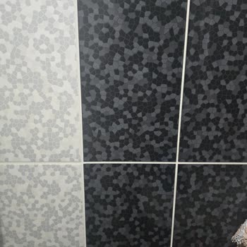 Samsung Telefon S24 Ultra Kamera Sorunu