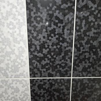 Samsung Telefon S24 Ultra Kamera Sorunu