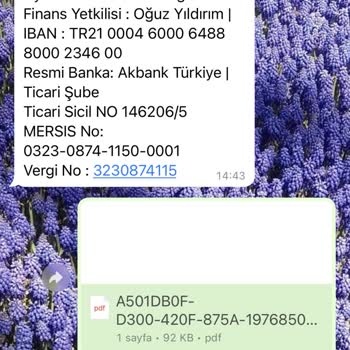 Dyson Online Alışverişte Yanıltıcı Satış Taktikleri