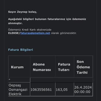 FaturaOdemelisin.net Fatura Ödeme Sonrasında Sorun