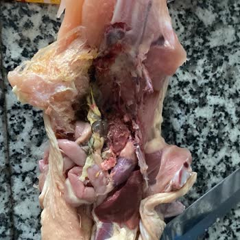 Şok Marketler İçi Temizlenmemiş Tavuk!