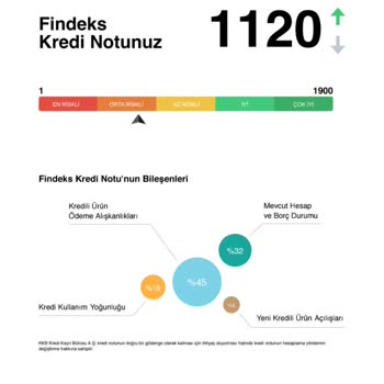 Findeks Risk Raporu 1120