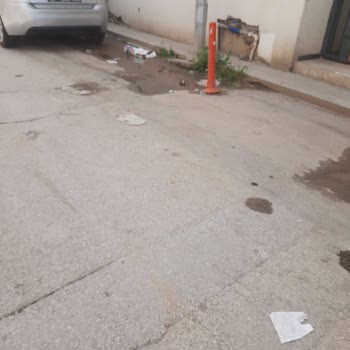 Bursa Nilüfer Belediyesi Köpek Ve Çöp Sorunu