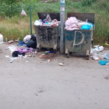 Bursa Nilüfer Belediyesi Köpek Ve Çöp Sorunu