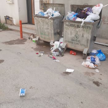 Bursa Nilüfer Belediyesi Köpek Ve Çöp Sorunu