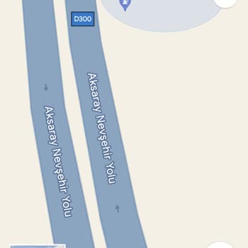 Metro Turizm Köpeğin Bir Eşya Gibi Taşınması Ve Yol Kenarına Bırakılması