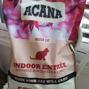 Amazon - Bozuk Kedi Maması