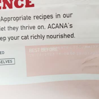 Amazon - Bozuk Kedi Maması