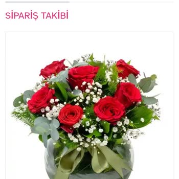 Osevio.com'un Verdiği Hizmet Çok Kötü!