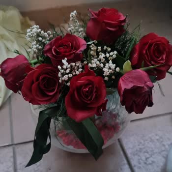 Osevio.com'un Verdiği Hizmet Çok Kötü!