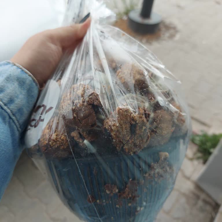 Çiçek Sepeti Mağduru