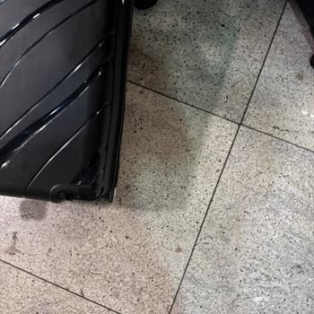 Pegasus Valiz Hasarı Hakkında