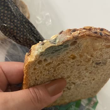 Migros Ekmeği Küflü Gönderdi