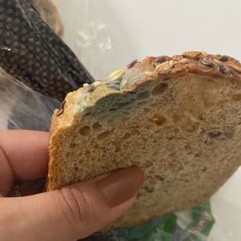 Migros Ekmeği Küflü Gönderdi