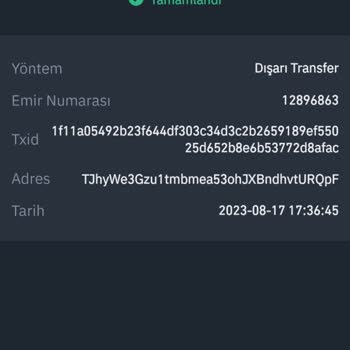 Liberty Finance (liberty-finans.com) Yatırım Kazancım Hesabıma Geçmiyor!