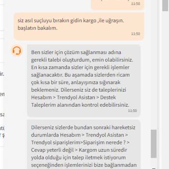 Trendyol'da Beklenen Hız, Beklenmeyen Gecikme
