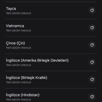 Samsung Telefon Samsung Yapay Zeka Arama Çeviride Türkçe Dil Desteğinin Olmaması