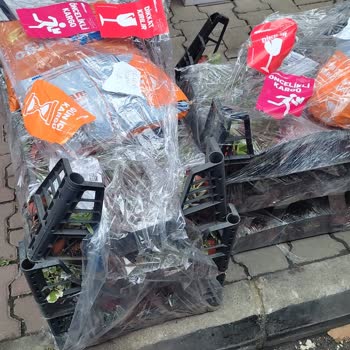 Sukulentworldd (İnstagram) Sukulentworldd Firmasının Süslemeleri