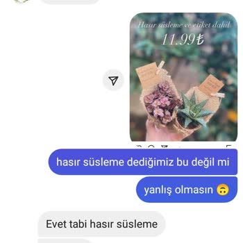 Sukulentworldd (İnstagram) Sukulentworldd Firmasının Süslemeleri