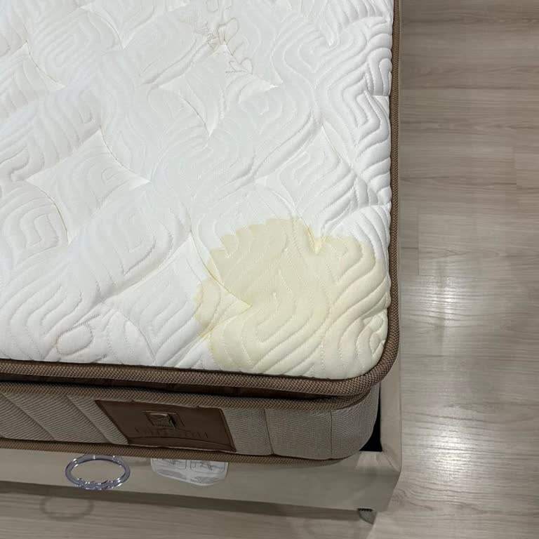 Bambi Yatak Beylikdüzü Bambi Mağazası Mağduriyeti- Küflü Yataklar