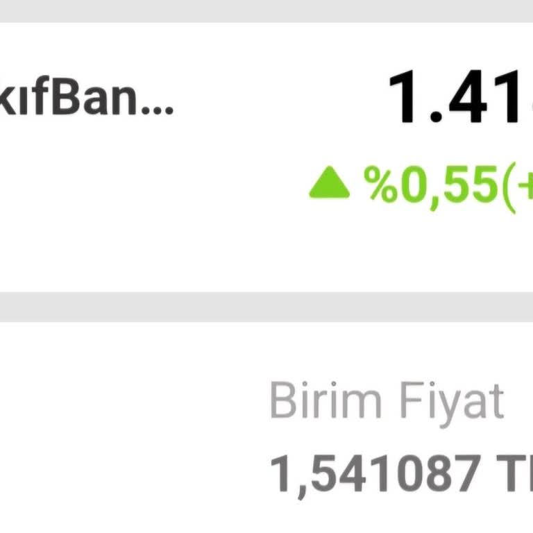 VakıfBank 6. Fon Zp İsminde Bir Fonu Otomatik Olarak Yapmış