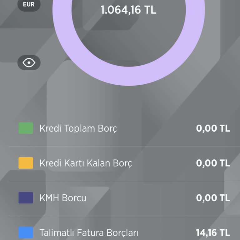 Ziraat Bankası Düzenli Para Para Transferi Borcu Hk