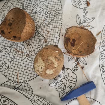 Migros Sanal Market Karışık Ürün Farklı Ürün-bozuk Ürün Sorunu