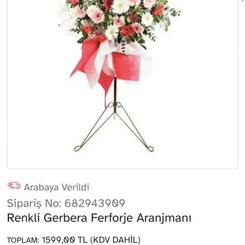 Osevio.com Şirket İtibarımız Zedelendi