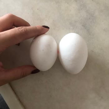 Tazem Yumurta Taze'm Marka Yumurta Boyutları Gramajları Arasında Ciddi Fark Var!