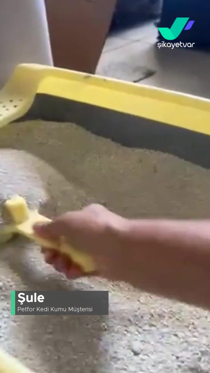 Petfor Kedi Kumu Tozlu! videonun kapak resmi