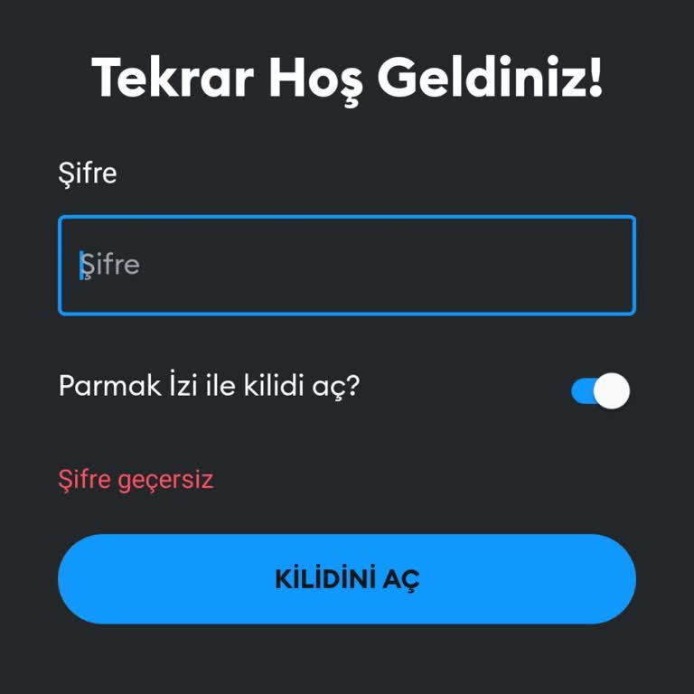 Metamask Şifremi Hatırlamıyorum Güvenli Kurtarma Kodu Yok!