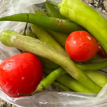 Siemens! Şikayetim Var,