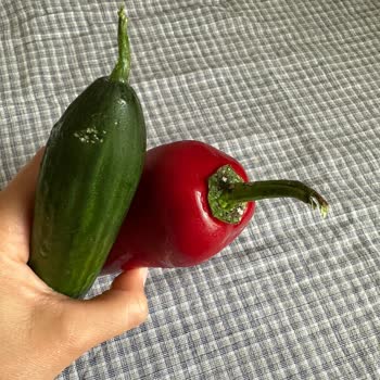 Siemens! Şikayetim Var,