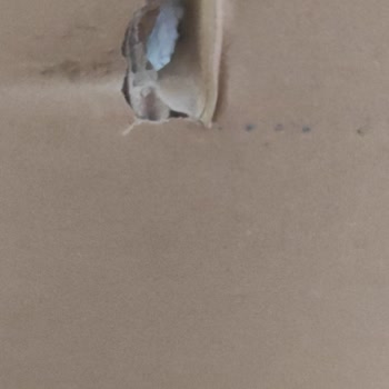 Yurtiçi Kargo Kargo Hasarıyla Bozulan Müşteri Memnuniyeti