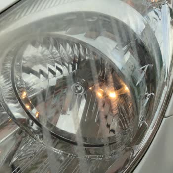 Asperox Sarı Güç Mağduru