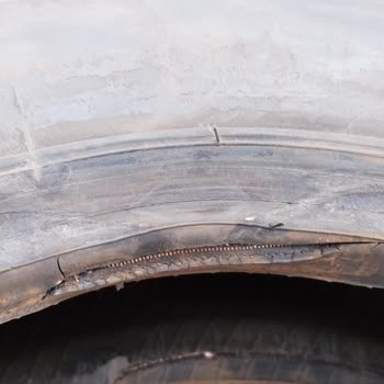 Lassa Almak Mı Bir Daha Asla