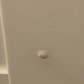 Rabi Mobilya Mobilya Kurulumunda Yaşanan Teknik Sorunlar