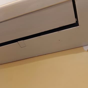 Vestel Klima İçine Kuş Yuva Yaptı Kuş Bitleri Evi Sardı!