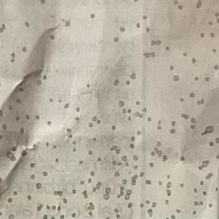 Watsons Elinde Kalan Maskeleri Zorla Sattı