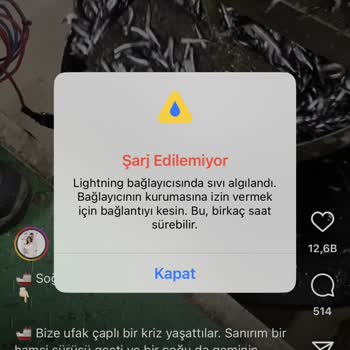 6 Aylık Apple İşkencesi