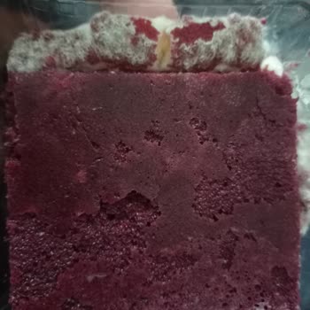 BİM Kadife Tatlısı Küflü Çıktı