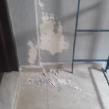 Marshall Silikonlu Duvar Boyası