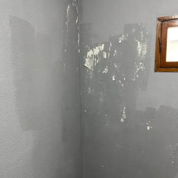 Marshall Silikonlu Duvar Boyası