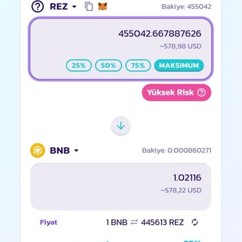 Pancakeswap Binance'de Satış Hatası: Rez Token Yatırımı Güven Sorunu