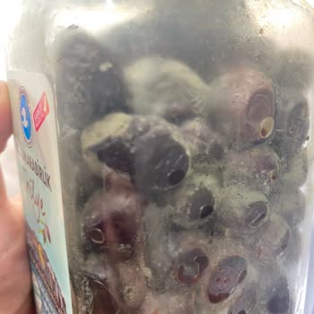 Migros Sanal Bozuk Ürünler