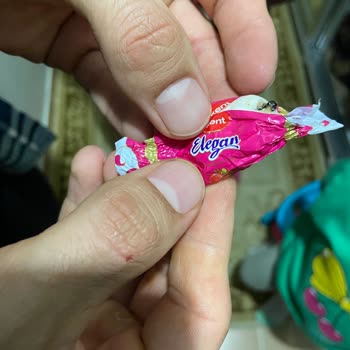 Kent Şekerleri Kent Şekerin İçindeki Böcek