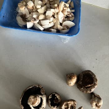 BİM Marketten Alınan Mantar Paketindeki Kalite Sorunu