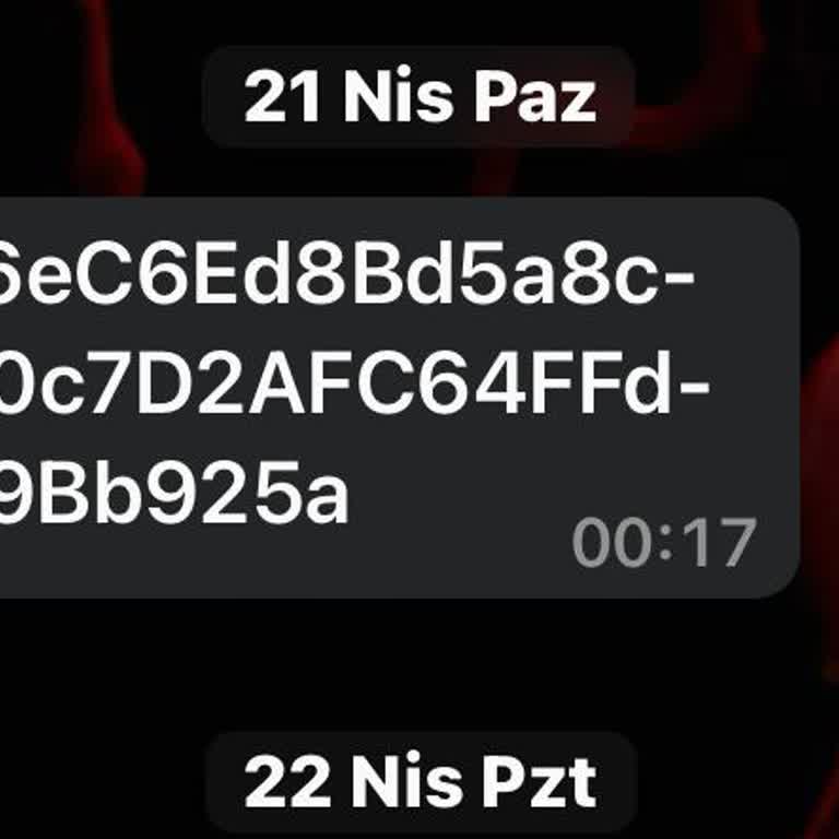 Binance Telegram Üzerinde Kripto Para Dolandırıcılığı İddiası