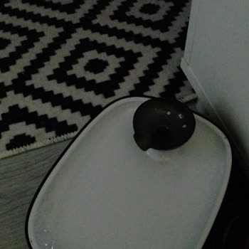 A101 Kiwipets Su Çeşmesi Su Akıtmıyor Kpf-10555!