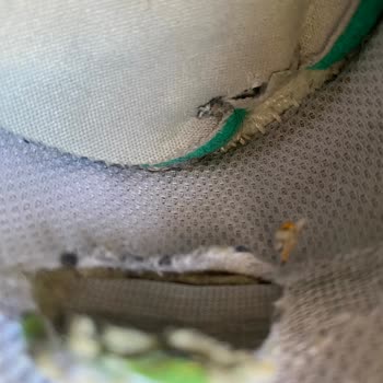 Deichmann Satın Alınan Ayakkabının Kısa Sürede Aşınması Üzerine Tüketici Şikayeti